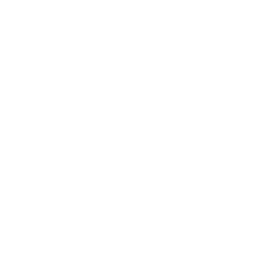 BIM [systems]