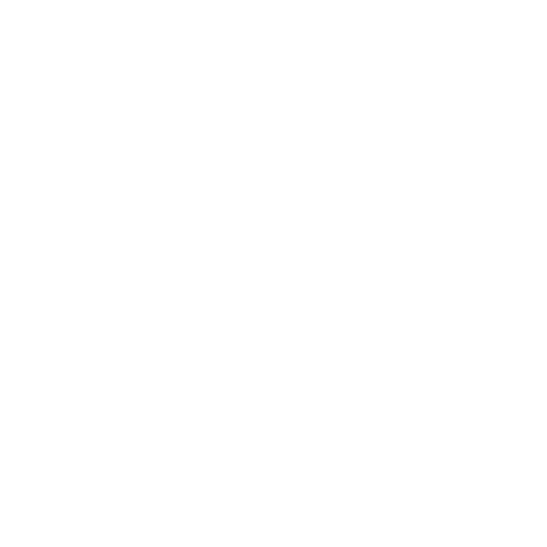 Lattenrost2go